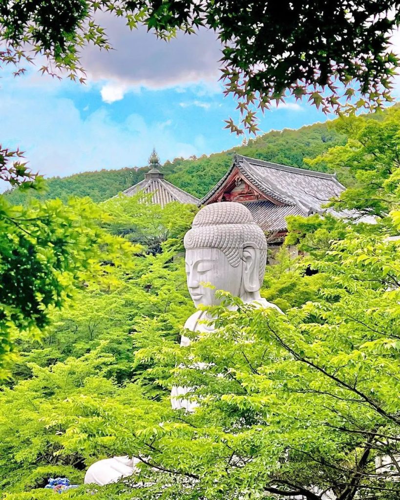 Japan Travel: You may have seen photos of Nara’s Tsubosaka-dera Temple during sakura season, a… You may have seen photos of Nara's Tsubosaka-dera Temple during sakura season, a...