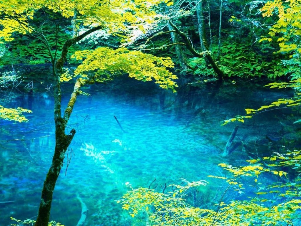Visit Japan: What’s the clearest water you’ve ever seen in a lake or pond?
Hidden away in th… What’s the clearest water you’ve ever seen in a lake or pond?
Hidden away in th...