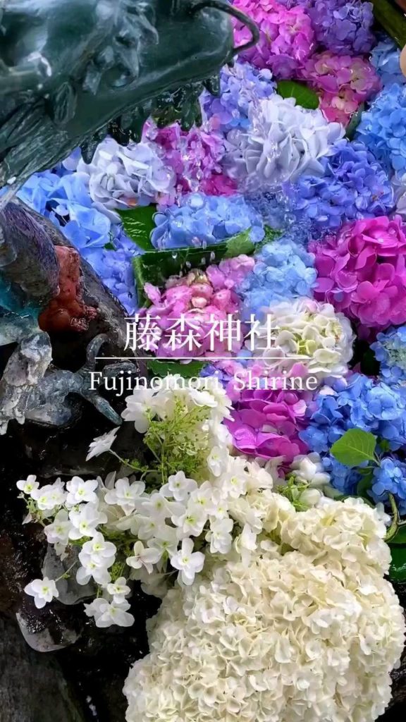 Japan Travel: Hydrangea season in Kyoto
: @nonnon_0727
—–
Fujinomori Shrine, #Kyoto
.
.
.
… Hydrangea season in Kyoto
: @nonnon_0727
-----
Fujinomori Shrine, #Kyoto
.
.
.
...