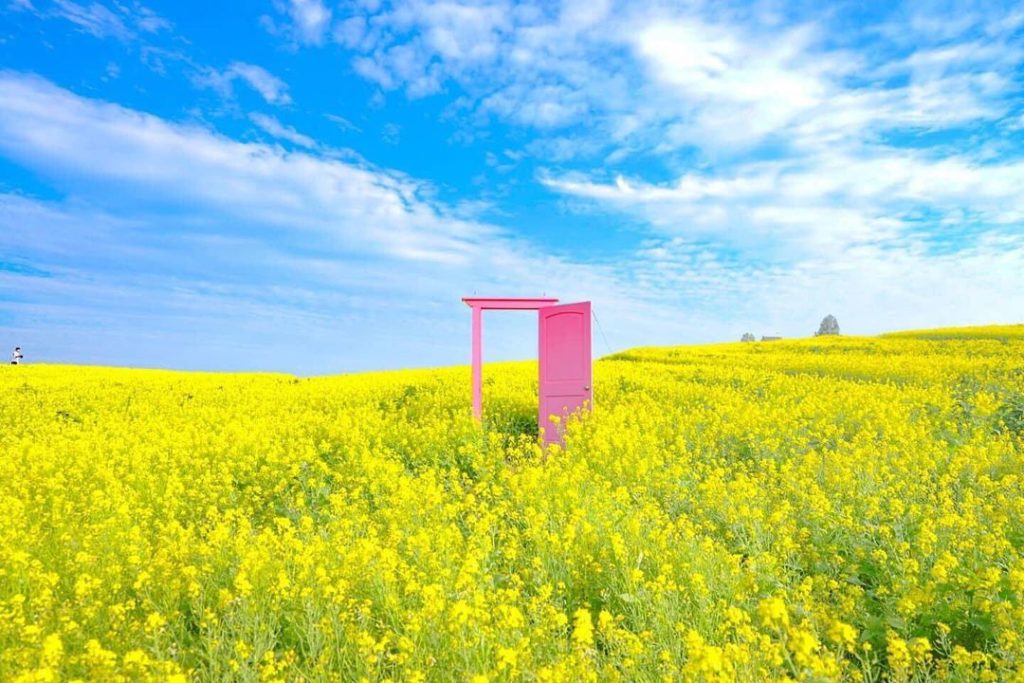 The location of this pink door in Yakurai Garden changes according to the season...