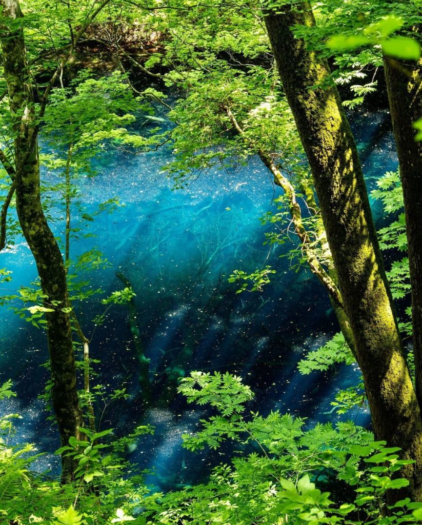 Welcome to Aoike, a mysterious blue-green pond located in Shirakami-Sanchi, a UN...