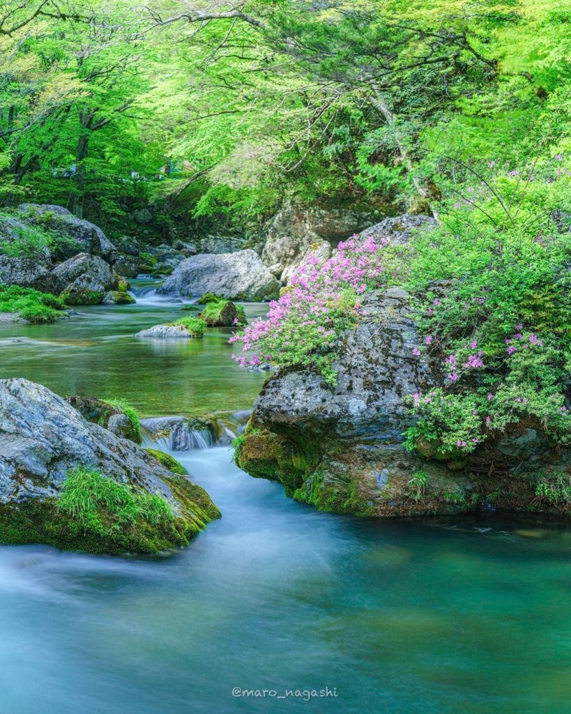 How does a bit of forest therapy sound right about now? 
Odamiyama Valley is a q...