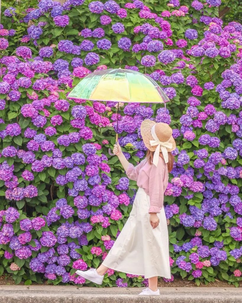 When nature provides the perfect backdrop 
: @sakixx1027
-----
Aichi, Japan
.
.
...