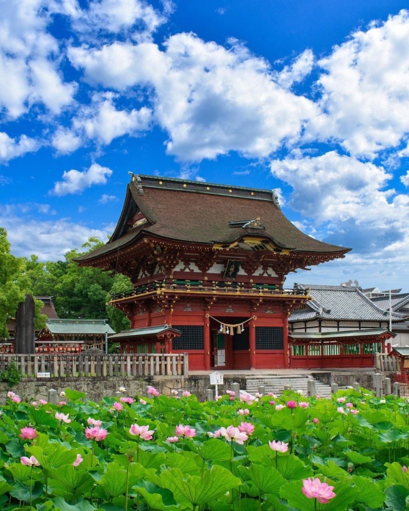 How many lovely lotus flowers do you see floating in the pond? 
Iga Hachimangu S...