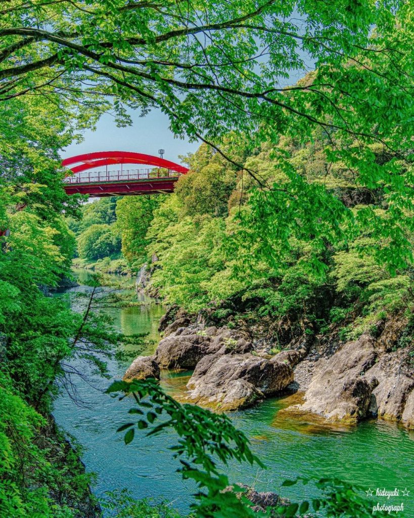 What are your favorite hiking spots? 
The fresh verdant forests around Watarase ...