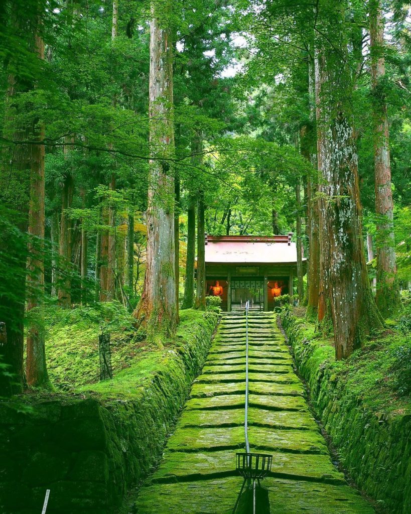 Japan Airline: .
深緑の森にひっそりと佇む #金勝寺
思わず引き込まれる緑の世界
#NoPlanNoProblemJune Konsyoji temple, standi… .
深緑の森にひっそりと佇む #金勝寺
思わず引き込まれる緑の世界
#NoPlanNoProblemJune Konsyoji temple, standi...