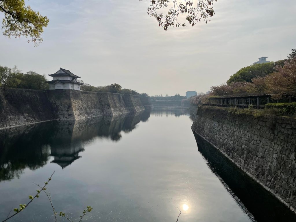 Taken last month: Sakura lining most of Osaka castle