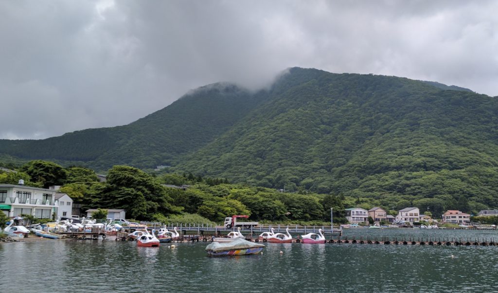 Hillside in Hakone