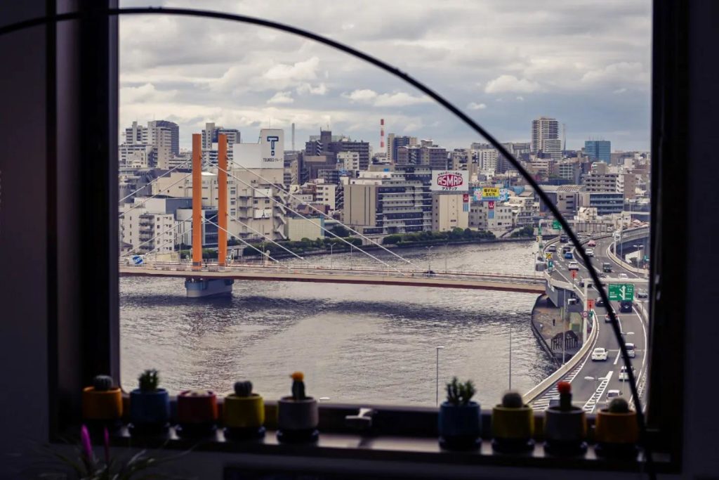 view of tokyo w/ some cacti