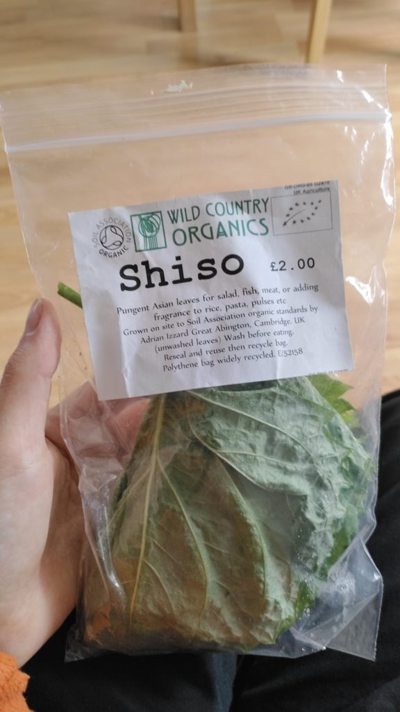 shiso grown in the UK found in my local veg market!