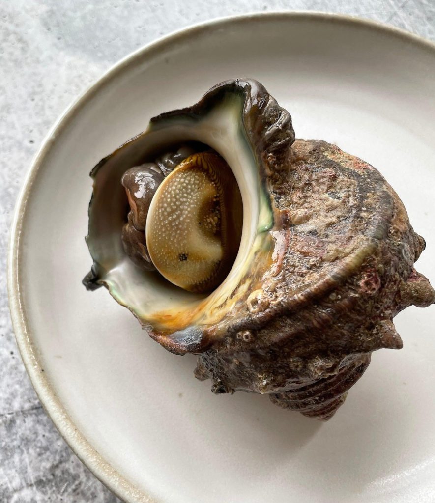 Last night I was reading Shadows Of The Empire and a chapter mentioned Giant Ithorian snail with flounut butter. It gave me flashbacks of me eating grilled sea snails in Japan with my grandfather. 😋