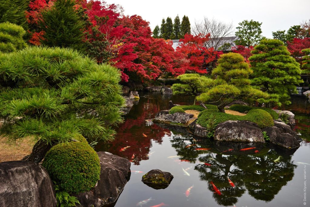 Koko-en Garden 好古園, Himeji (11.2018)