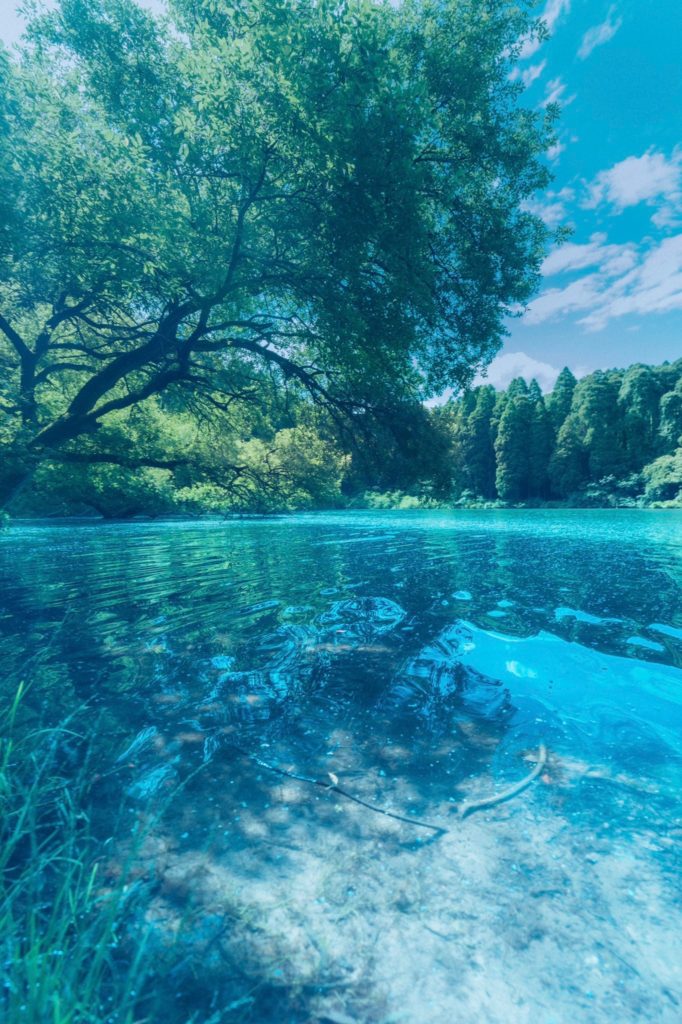 Exhilarating transparency in early summer