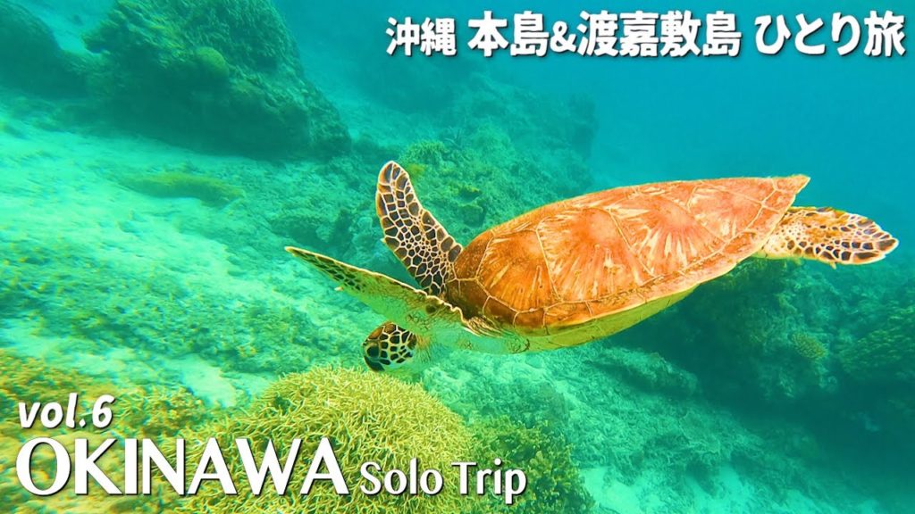 【ウミガメに会えるビーチ】沖縄ひとり旅 vol.6【渡嘉敷島・とかしくビーチ・シュノーケリング・ウミカジテラス ・離島・vlog】