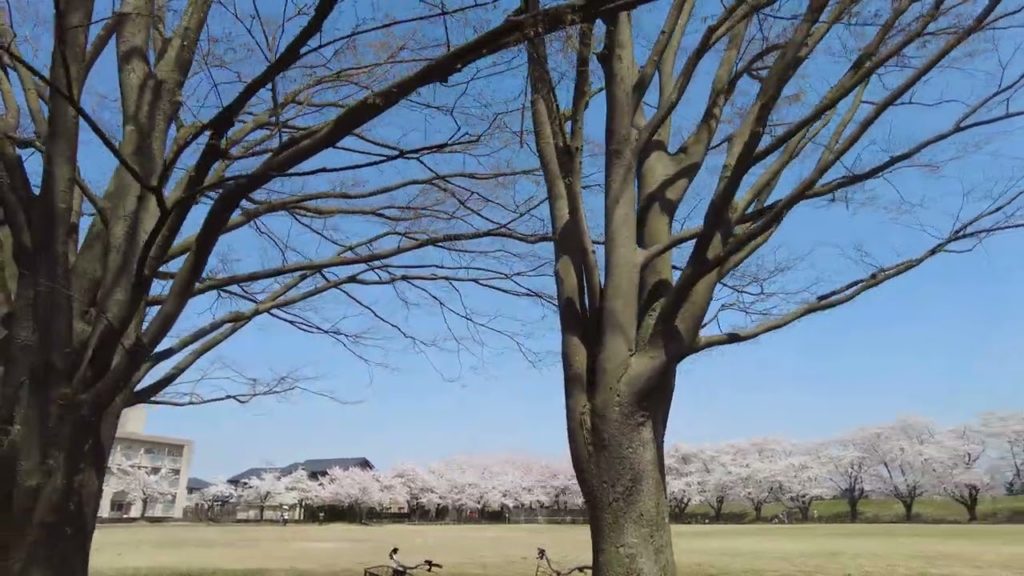 4K Japan Walk –  NIIGATA NAGAOKA Neighborhood Walking Tour | 新潟長岡 2022 4K Japan Walk -  NIIGATA NAGAOKA Neighborhood Walking Tour | 新潟長岡 2022