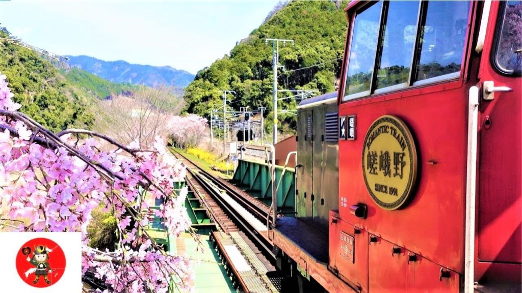 【Romantic Torokko Train】Cherry Blossoms in Kyoto Japan Arashiyama Sagano line 4k Travel guide videos 【Romantic Torokko Train】Cherry Blossoms in Kyoto Japan Arashiyama Sagano line 4k Travel guide videos