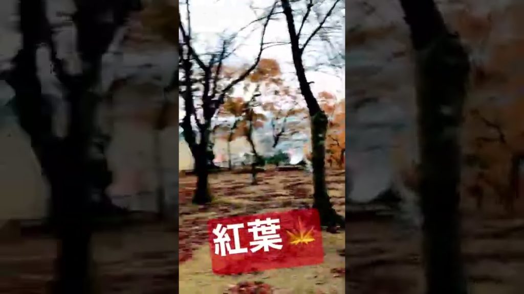 4K Japan Walk -  NIIGATA NAGAOKA Neighborhood Walking Tour | 新潟長岡 2021