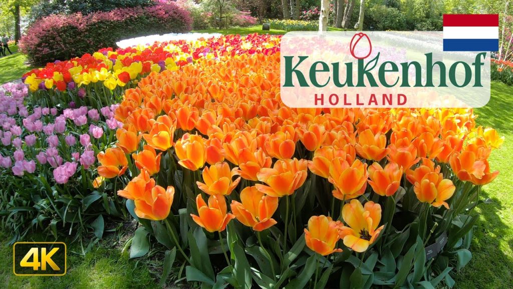 Keukenhof - Garden of Europe, Netherlands 🇳🇱 Walking Tour in 4K
