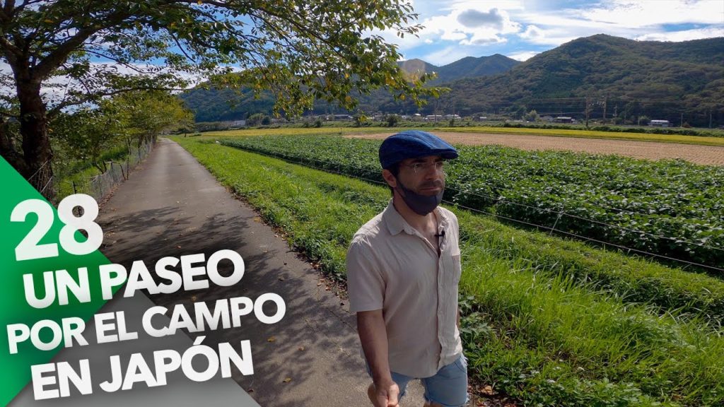 UN PASEO POR EL CAMPO JAPONÉS EN KUSANO TAMBASASAYAMA