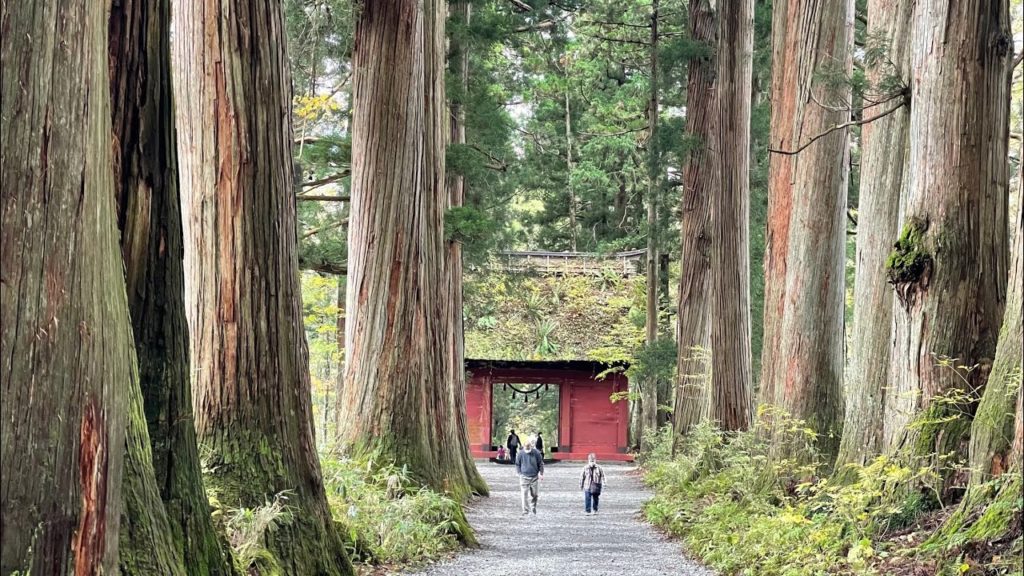 【VLOG : TOUR DU JAPON】LA SOURCE DE l'ÉNERGIE SPIRITUELLE : TOGAKUSHI 【VLOG : TOUR DU JAPON】LA SOURCE DE l'ÉNERGIE SPIRITUELLE : TOGAKUSHI