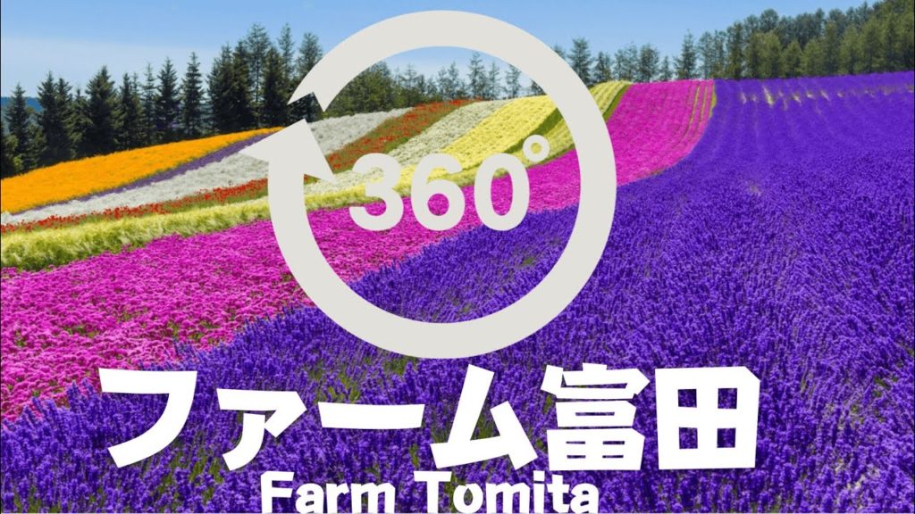 【VR360°】ラベンダーが見頃のファーム富田をぐるり一周《後編》/Flowers Garden Lavender Gardens in Furano ②(Farm Tomita) 【VR360°】ラベンダーが見頃のファーム富田をぐるり一周《後編》/Flowers Garden Lavender Gardens in Furano ②(Farm Tomita)