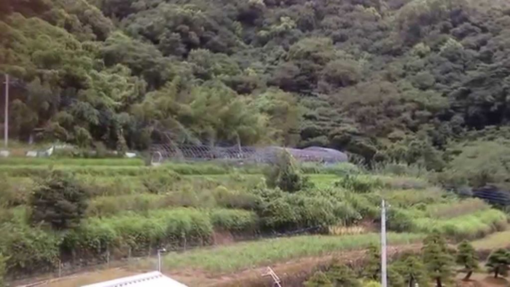 2015 japan forest and mountain