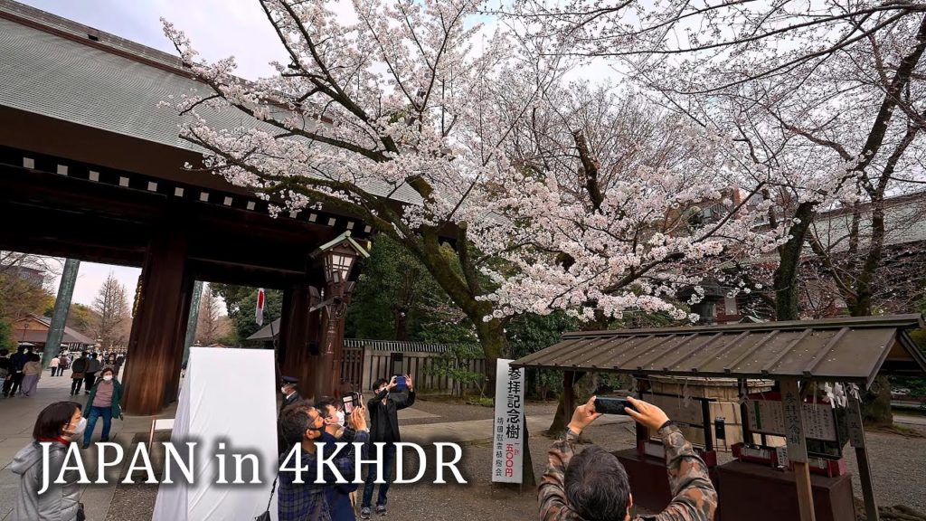 Tokyo sakura – Budokan and Yasukuni shrine・4K HDR Tokyo sakura - Budokan and Yasukuni shrine・4K HDR