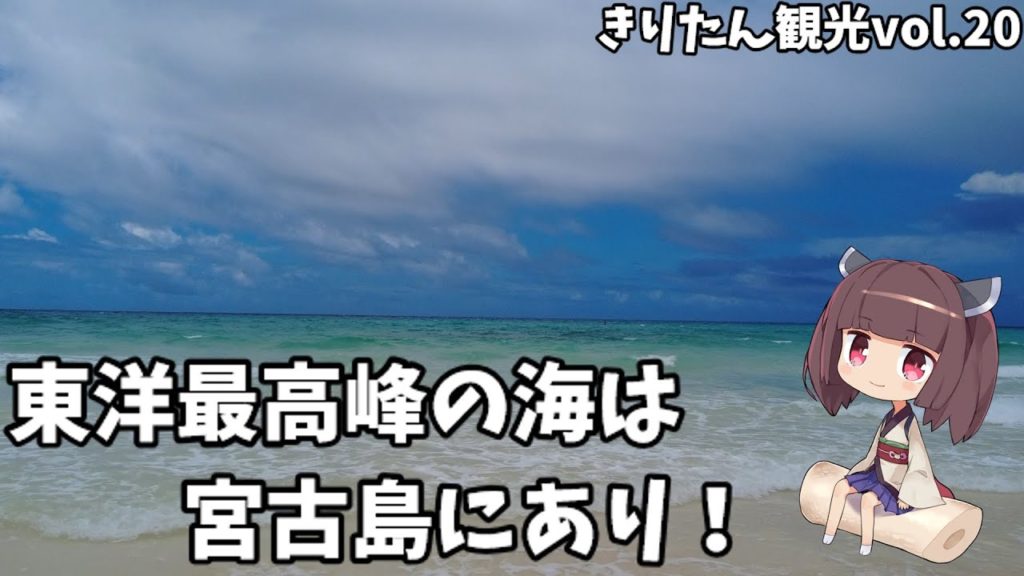 【渡口の浜】ウミガメと泳ぐ宮古島②【Blue Turtle】