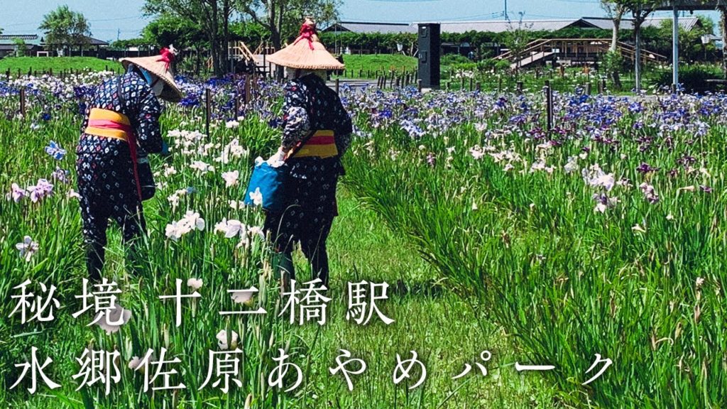 Train journey to Japanese unique station in big rice fields | Japan Travel Vlog #pov #photography Train journey to Japanese unique station in big rice fields | Japan Travel Vlog #pov #photography