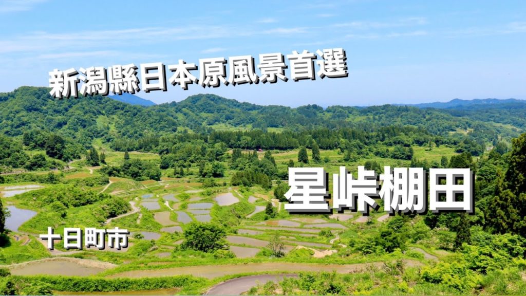［廣東話聲音導航］ 星峠棚田，新潟縣最出名嘅日本鄉郊絕景係點樣去？2022/05/30
