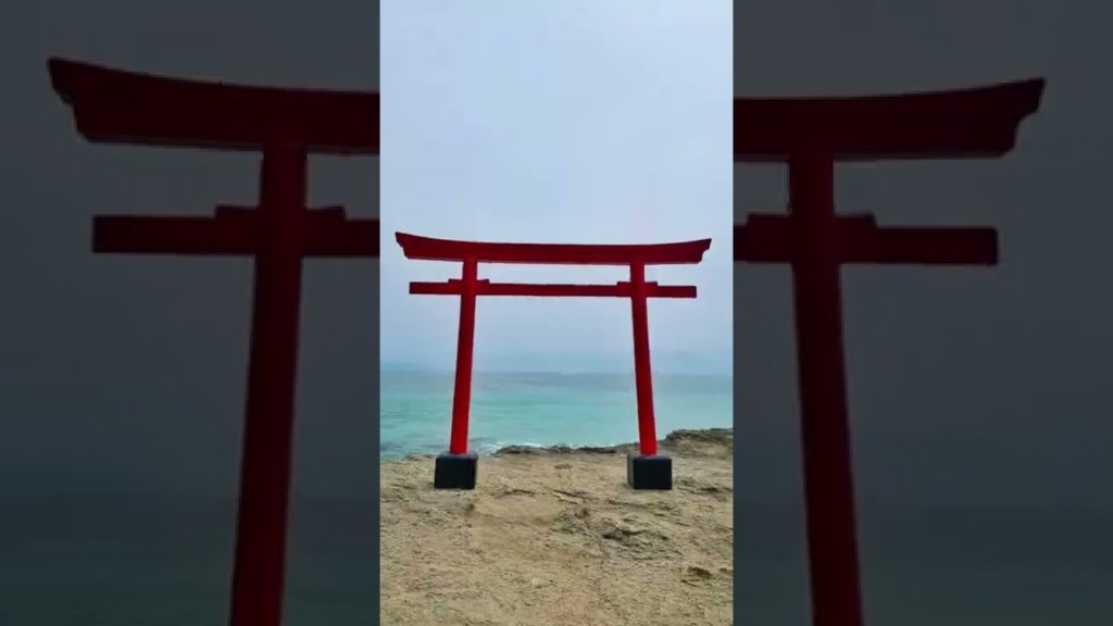 Travel Video Shorts | Riding on Japan's Express Train | Izu Peninsula Japan | #shorts Travel Video Shorts | Riding on Japan's Express Train | Izu Peninsula Japan | #shorts