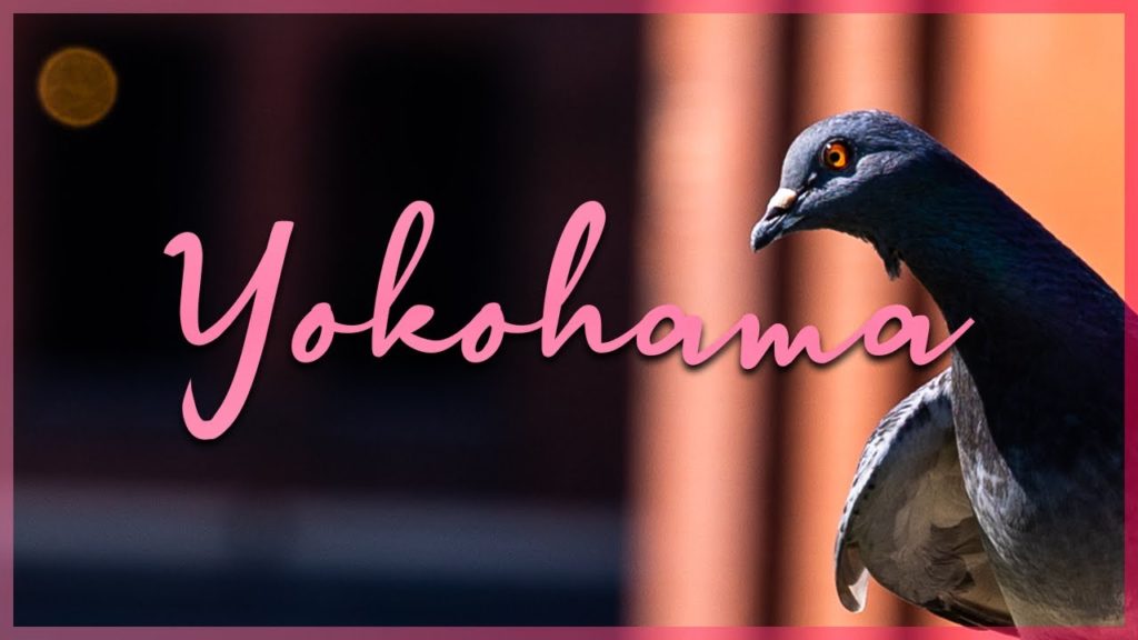 POV Street Photography in Japan's Second-Largest City | Canon R6 + RF 70-200mm f4 L POV Street Photography in Japan's Second-Largest City | Canon R6 + RF 70-200mm f4 L