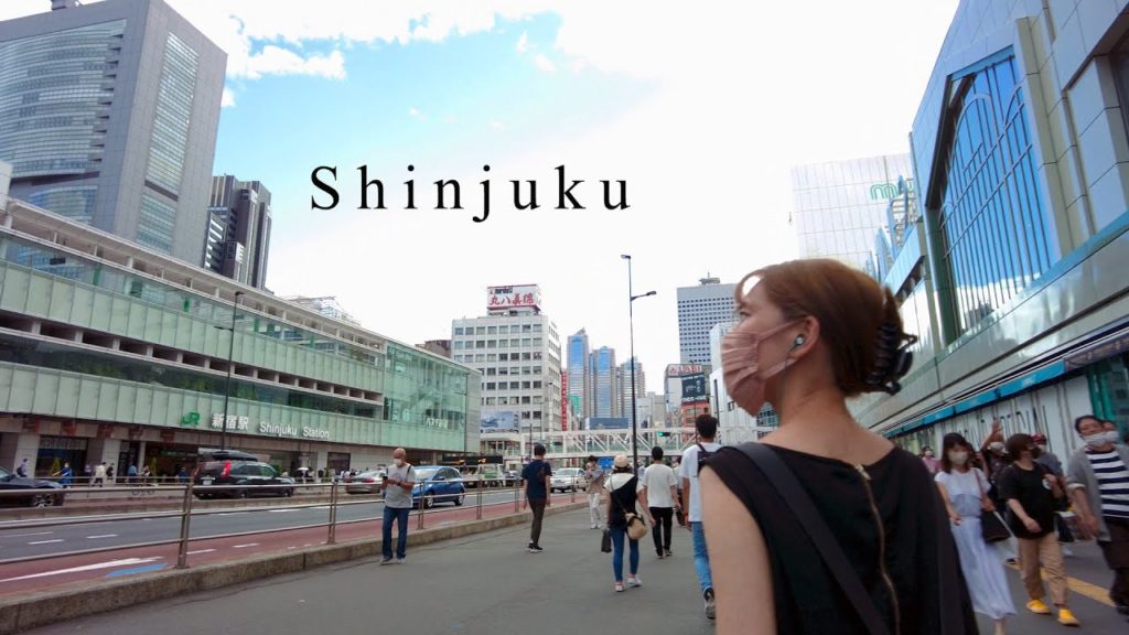 【4k Japan】Walk around Shinjuku car free zone, Tokyo / dji pocket2 【4k Japan】Walk around Shinjuku car free zone, Tokyo / dji pocket2