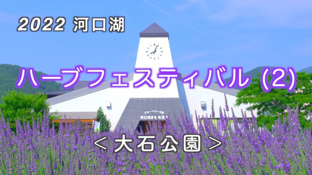 2022 河口湖ハーブフェスティバルⅡ（大石公園） / ラベンダーと富士山 [4K]  Herb Festival 2022 Kawaguchiko