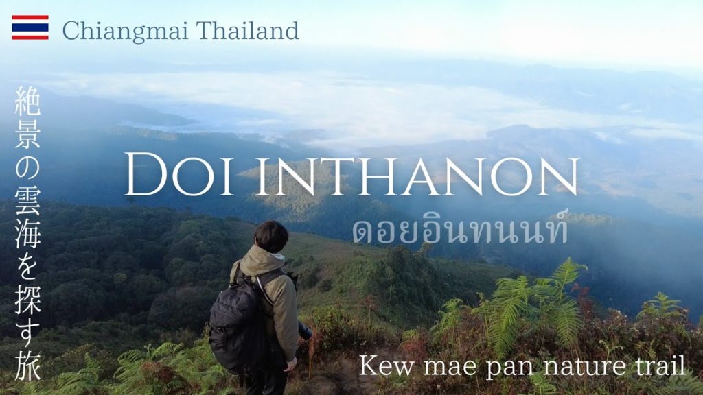 奇跡の絶景!タイで一番高い場所から見る感動的な雲海!(タイ旅行・チェンマイ) 奇跡の絶景!タイで一番高い場所から見る感動的な雲海!(タイ旅行・チェンマイ)