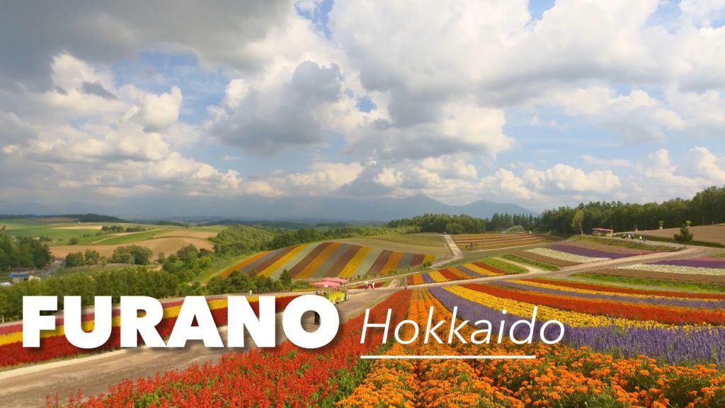 Furano 富良野 and Biei 美瑛 Hokkaido 北海道 - Japan summer trip to a scenic fairy-tale landscape