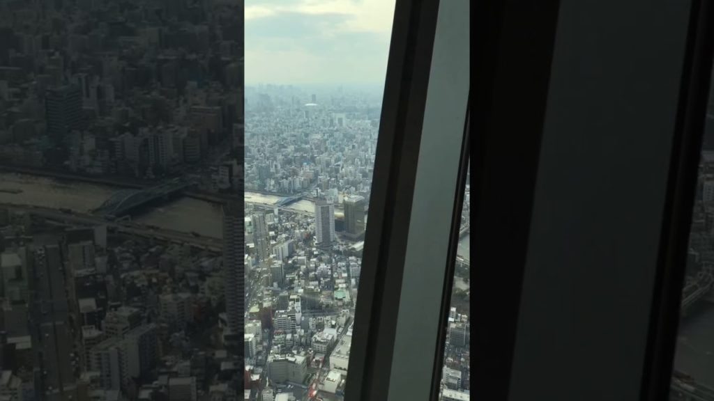 View from Tokyo Skytree - Travel in Japan #Shorts