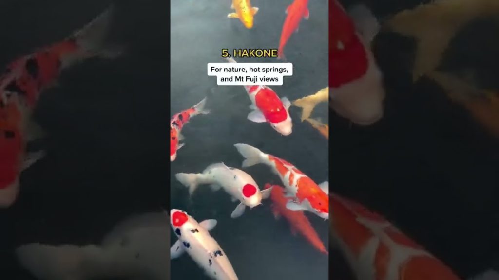 5 Must Visit Places in Japan