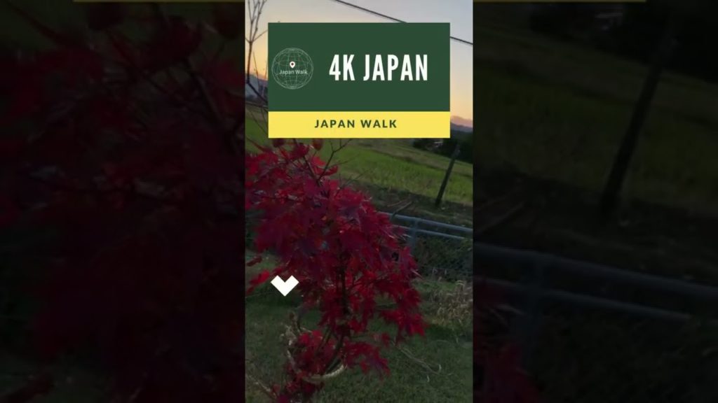 4K Japan Walk -  NIIGATA NAGAOKA Neighborhood Walking Tour | 新潟長岡 2021