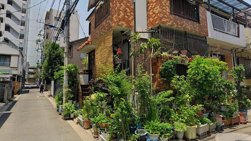 Let's Get Lost in Bunkyo Ward, Tokyo! | JAPAN LIVE STREAMS 2022