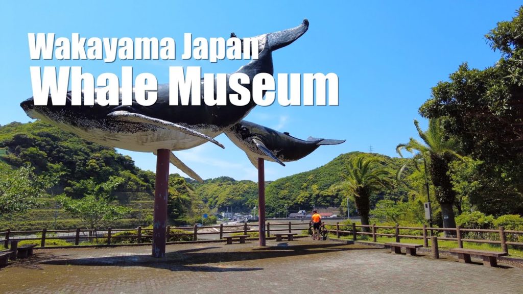 Visit the "Whale Museum" at the southernmost tip of Honshu. wakayama