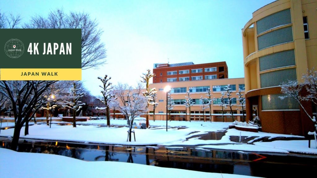 Snow 4K Japan Walk - NIIGATA Nagaoka University of Technology  Neighborhood Walking Tour | 新潟長岡 2021
