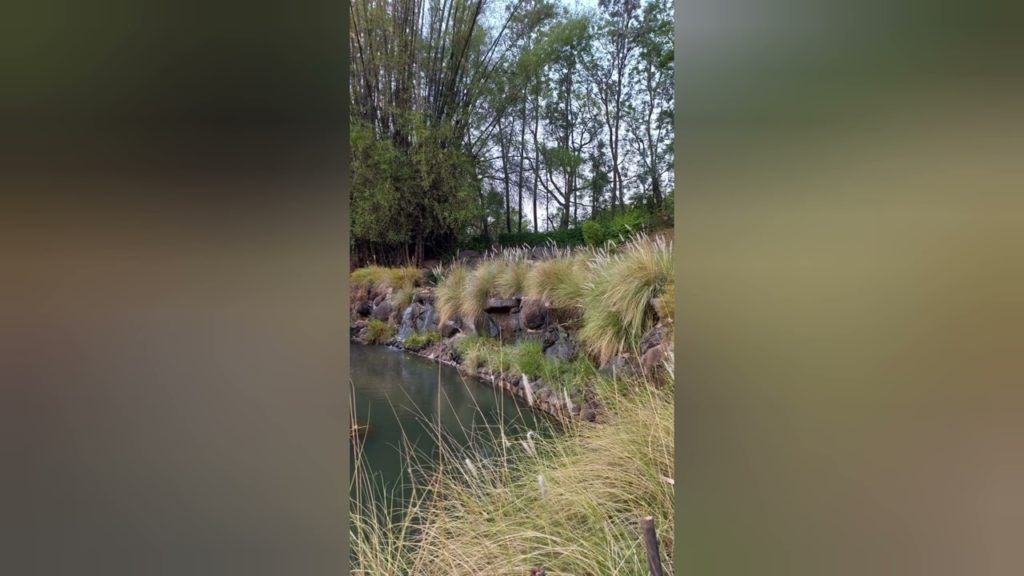 Must Visit places Pune पुल देशपांडे उद्यान Pune-Okayama Friendship Garden Sinhgad Road Pune