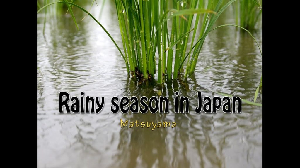 Beautiful Japan -  Rainy Season in Japan