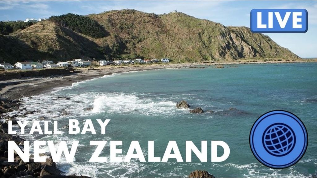 🌎 LIVE Cam: Lyall Bay New Zealand 5-23-2022 🌎 LIVE Cam: Lyall Bay New Zealand 5-23-2022