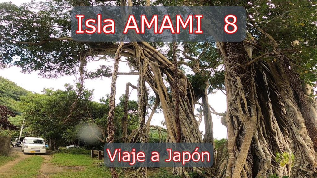 Diario de viaje Isla Amami parte７ [Isla Kakeroma,Kagoshima, Japón]