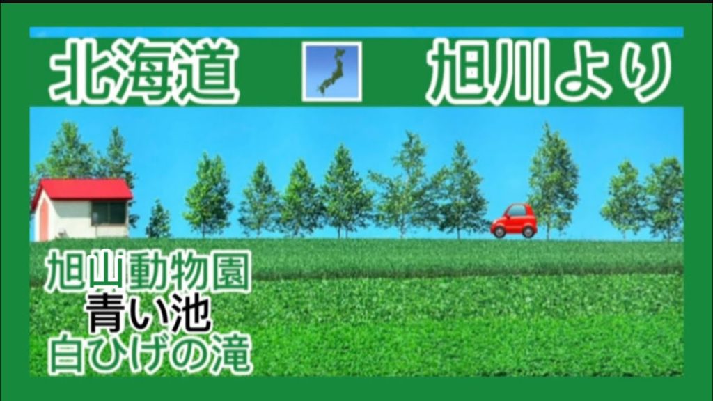 【北海道】旭川観光🚗レンタカー🚗旭山動物園🦁北海道お土産オススメ👛美瑛🚗青の池🚗白ひげの滝✈︎JAL日本航空✈︎