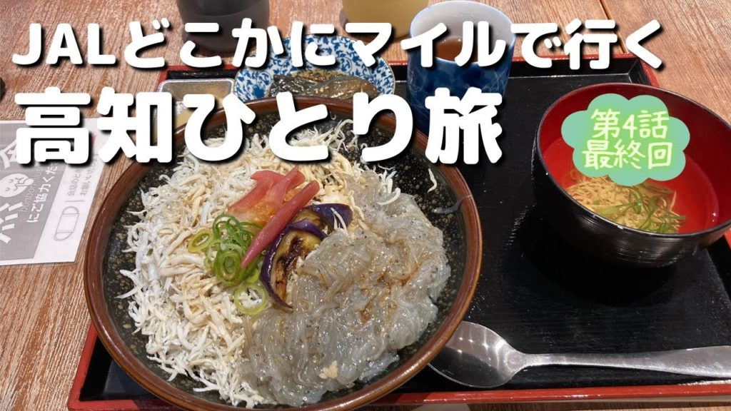 【高知ひとり旅 Vol.4 最終回】高知2泊3日の旅、最後の晩餐も高知の絶品グルメで締めくくり、短い旅を満喫しました。2泊目の「リッチモンドホテル高知」の宿泊レポートもお届けします。