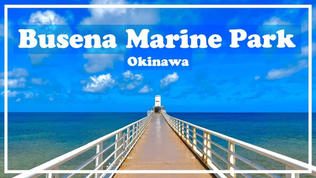 [Subtitles] [Busena Marine Park] Tropical waters where you can see tropical fish and coral reefs!