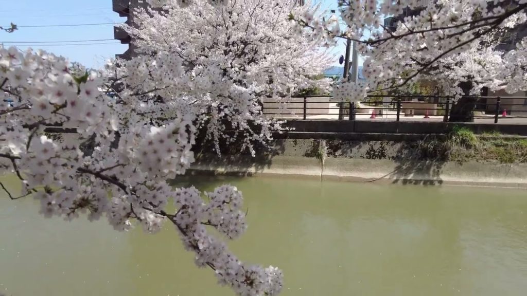 【4K HDR】Walk in NIIGATA Nagaoka (Fukuzumi) Neighborhood Walking Tour | 新潟長岡 2022 【4K HDR】Walk in NIIGATA Nagaoka (Fukuzumi) Neighborhood Walking Tour | 新潟長岡 2022